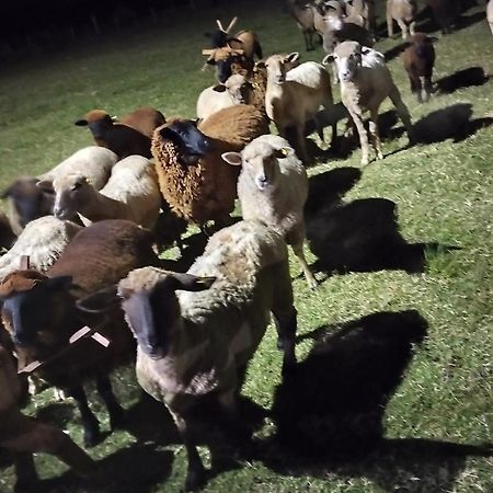 Pousada Do Pampa Jaguarão المظهر الخارجي الصورة