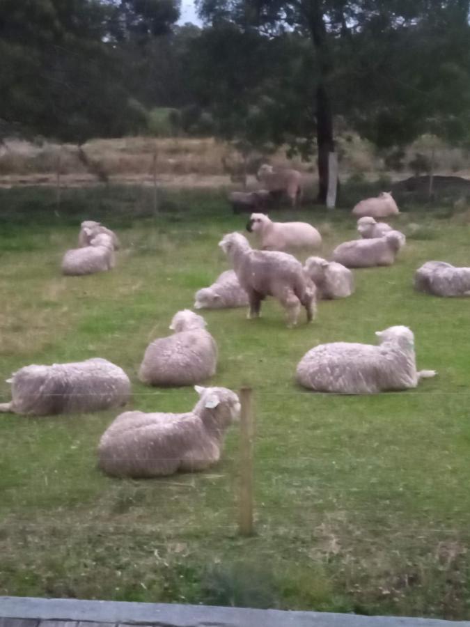 Pousada Do Pampa Jaguarão المظهر الخارجي الصورة