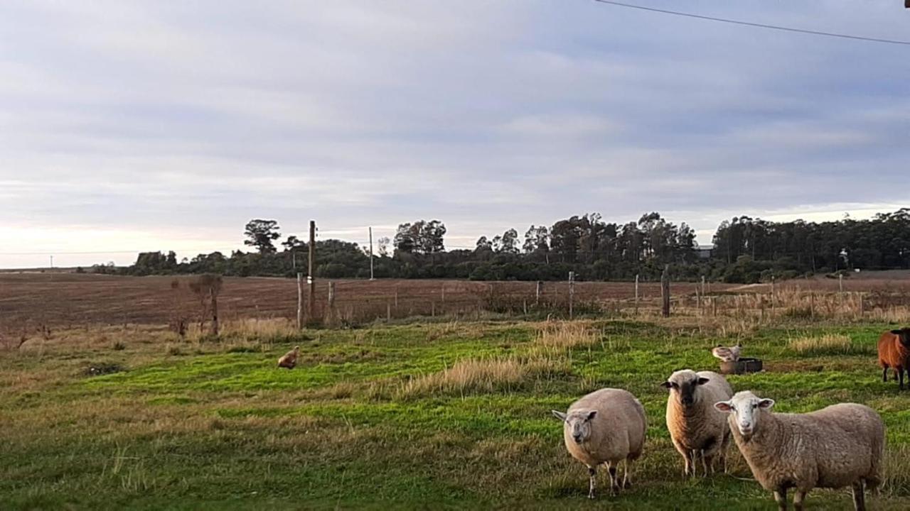 Pousada Do Pampa Jaguarão المظهر الخارجي الصورة